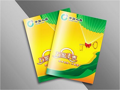 中国人寿画册设计