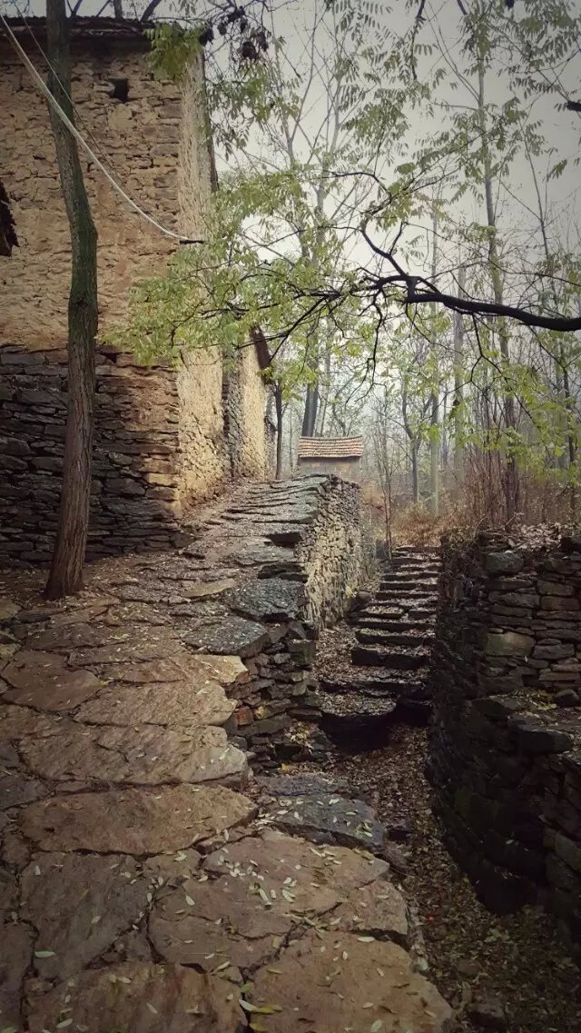 ƶ˼